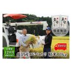 農家直送 魚沼産 コシヒカリ 精米 10kg