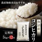 農産物検査員お奨め 魚沼産 こしひかり 精米 5kg