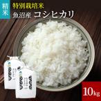 令和8年産 米農家自慢の特別栽培米魚沼産コシヒカリ