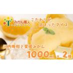 ふるさと納税 アイス 柑橘 愛媛 みかん 河内晩柑 1000ml 2種 ギフト 詰め合わせ アイス 有名 みかん 河内晩柑 みかん職人 アイス 武田屋 お取り.. 愛媛県愛南町