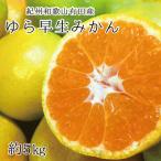 紀州和歌山産 せとか 約5kg