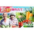 fu.... налог ... .. ...* набор 10~12 товар степень / сезон . овощи ... весна овощи лето овощи осень овощи комплект набор /.. город /. передний g.. Nagasaki префектура .. город 