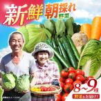 諫早産野菜の詰め合わせ 8 9品目程度 季節