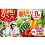 ふるさと納税 野菜 12回定期便  諫早産野菜の詰め合わせ 8〜9品目程度 [AHDI003] 長崎県諫早市