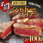高級部位 あか牛のシャトーブリアンステーキ肉