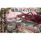 うすき豊後水道物語 豊後水道うすき地魚詰め合わせB