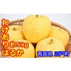 産りんご はるか 約5kg