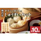 ふるさと納税 梅の花　とうふとかにのしゅうまいセット各10個入り 福岡県久留米市