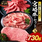 宮崎牛のセットB