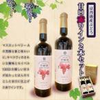 赤ワイン甘口 720ml×2本