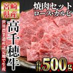高千穂牛 焼き肉セット ロース カルビ各250g
