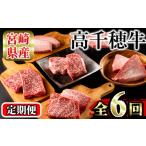 高千穂牛 定期便 6ヶ月