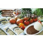 旬野菜×手作りカレーセット ヒロファミリーフーズ