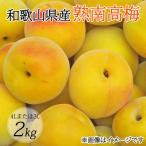 紀州熟南高梅 2kg