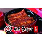 うなぎ 関西風蒲焼 大サイズ5枚 合計約750g
