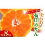 有田みかん 約8kg+150g 傷み補償分
