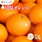 清見オレンジ約8kg 果実サイズおまかせ