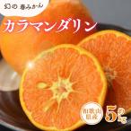 カラマンダリン 約5kg
