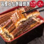 大型サイズ ふっくら柔らか うなぎ蒲焼き 2尾
