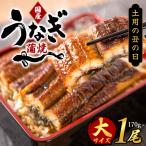 ふっくら柔らか うなぎ蒲焼き 約2人前