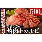 ふるさと納税 曽於さくら牛焼肉ギフト(上カルビ500g) 黒毛和牛 上カルビ 焼き肉【福永産業】A16-v01 鹿児島県曽於市