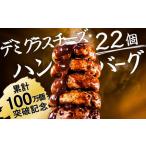 ショッピングふるさと納税 ハンバーグ ふるさと納税 AB265.累計100万個突破キャンペーン！今だけプラス2個！大容量デミハンバーグ【150g×20個＋2個】 福岡県新宮町