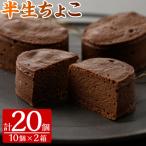 半生 チョコケーキ20個 チョコケーキ