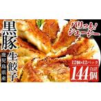 ふるさと納税 餃子合計144個（12個×12P）鹿児島県産黒豚生餃子を焼餃子や水餃子で【A-943H】 鹿児島県いちき串木野市