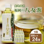 福岡の八女茶 煎茶ペットボトル 500ml×24本