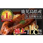 ふるさと納税 無投薬!鹿児島県産うなぎ蒲焼きざみセット<極上>(160g〜236g×7尾・きざみ50g×10袋) タレ・山椒付き【西日本養鰻】D.. 鹿児島県曽於市