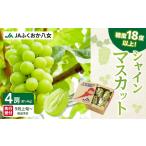 ふるさと納税 【先行受付】シャインマスカット 1.4kg（350g×4パック）【ＪＡふくおか八女】｜９月上旬〜発送予定 シャインマスカット 糖度1.. 福岡県八女市