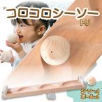 コロコロシーソー トリセット 030-021-B