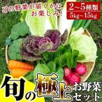 A-091 極野菜 旬の極上お野菜セット
