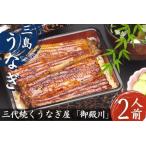 ふるさと納税 うなぎ 鰻 三島名物 蒲焼 蒲焼き (真空パック) 2人前(1人前あたり120g?140g)【 鰻 ウナギ unagi 国産 蒲焼き かばやき パック 真.. 静岡県三島市