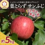 りんご葉とらずサンふじ5kg