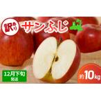 ふるさと納税 りんご 【2025年12月下旬発送】【訳あり】 りんご 10kg サンふじ 青森 不揃い サンふじりんご 青森県五所川原市