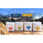 お米 真空パック 300g