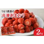 ふるさと納税 【2026年2月以降お届け】うるう農園の冷凍あまおう2kg_あまおう 2kg 冷凍 甘い 濃厚 新鮮 いちごの王様 うるう農園 いちご 果物 .. 福岡県久留米市