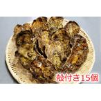 通年販売 広島の極上ブランド 肉厚 殻付15個