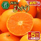 年内お届け 訳あり みかん 西南のひかり 5kg