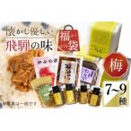 懐かし優しい飛騨の味 福袋 7~9種類 詰め合わせ セット