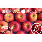 りんご 訳あり 5kg