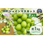 訳あり シャインマスカット 約1kg