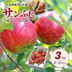 令和8年産 りんご サンふじ 3kg
