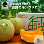 の森が育てた奇跡のキングメロン 2玉