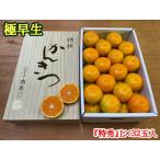 極早生 有田みかん 約4kg