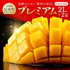 果実の宝石 プレミアム 2L×2玉