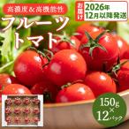 トマト フルーツトマト 12パック