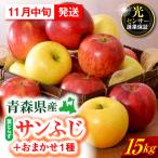 りんご 15kg