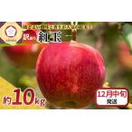 ふるさと納税 【2025年12月中旬発送】【訳あり】 りんご 10kg 紅玉 アップルパイ に最適 青森 不揃い 青森県五所川原市